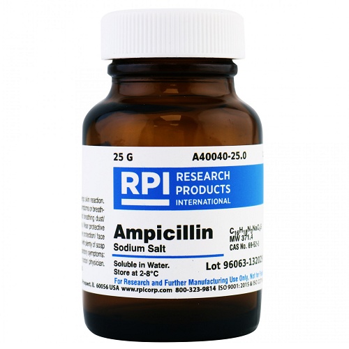 Ampicillin